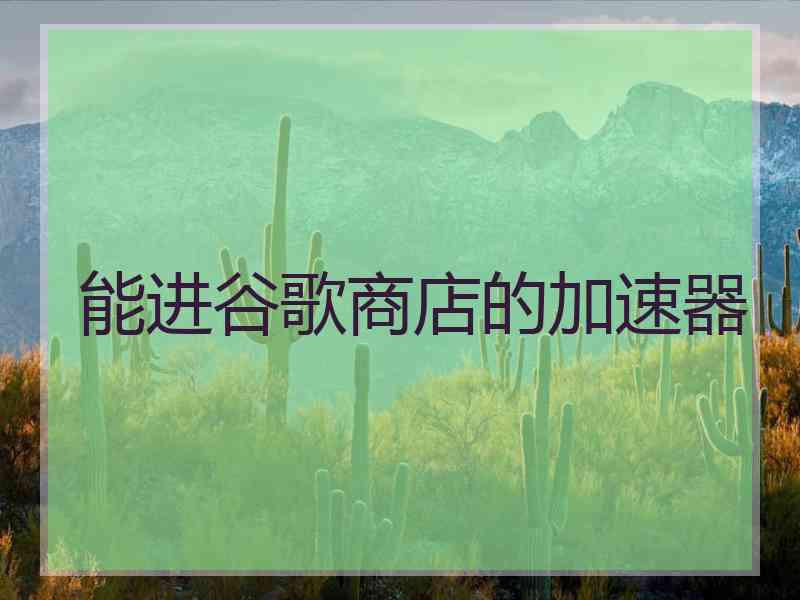 能进谷歌商店的加速器