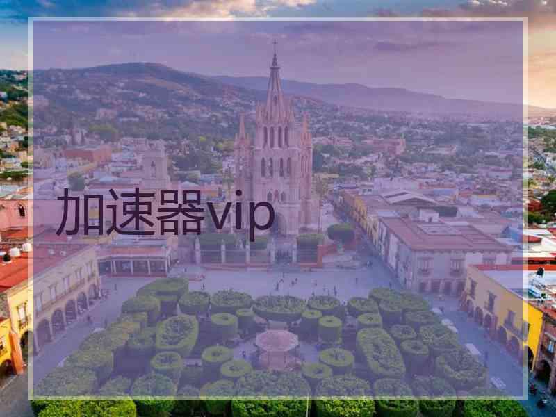 加速器vip