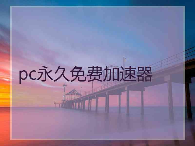 pc永久免费加速器