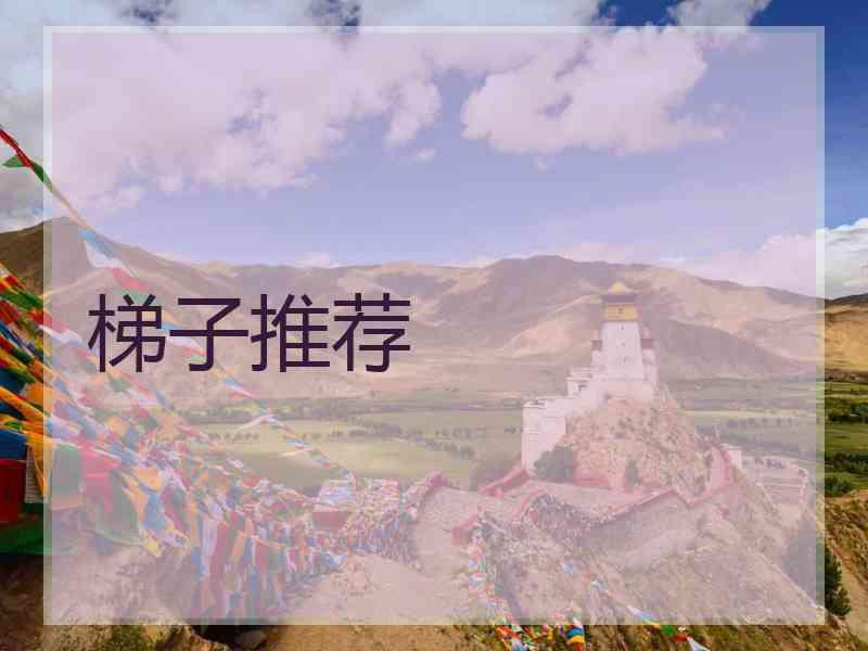 梯子推荐