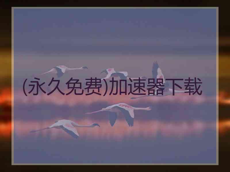 (永久免费)加速器下载