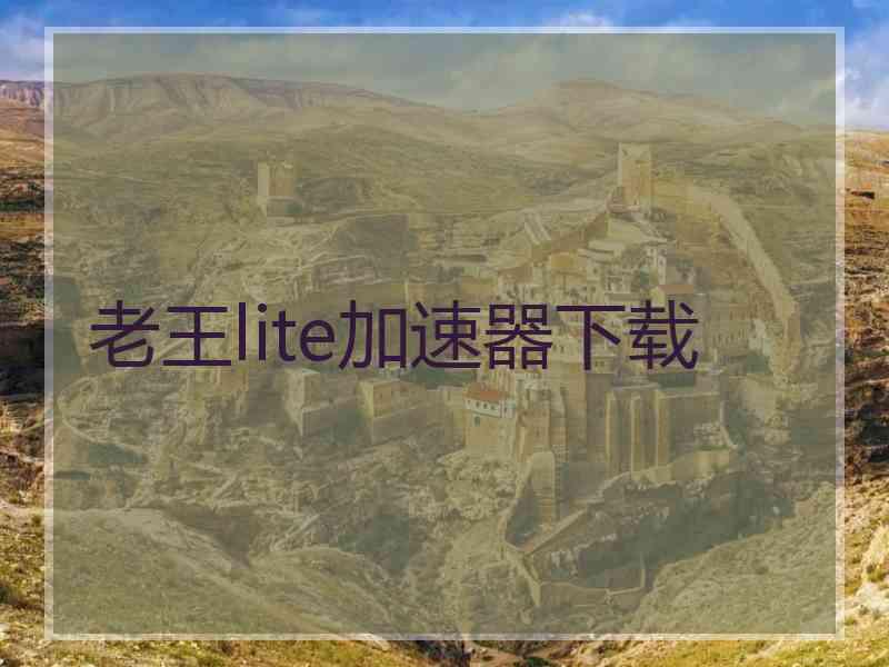 老王lite加速器下载