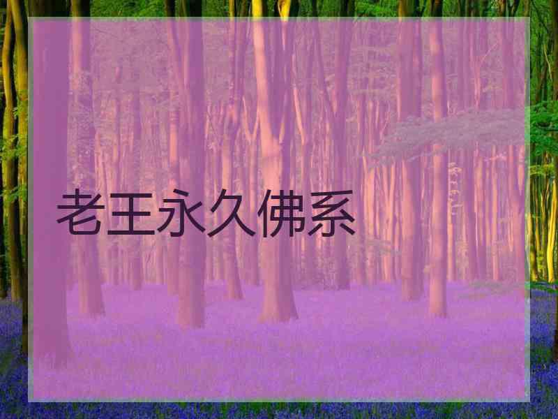 老王永久佛系