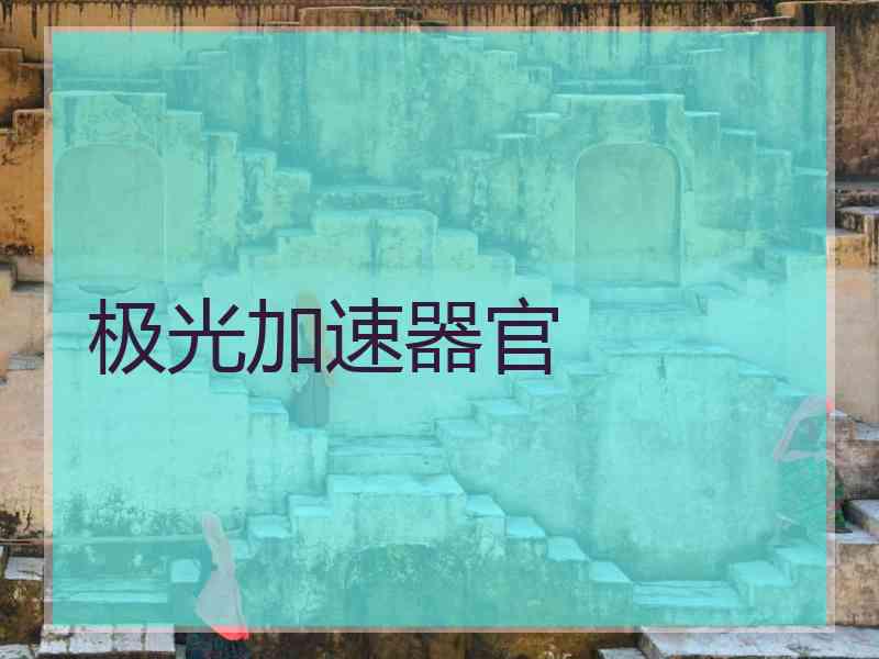 极光加速器官