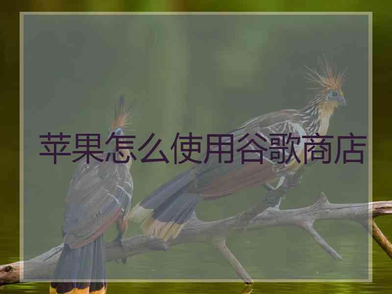 苹果怎么使用谷歌商店