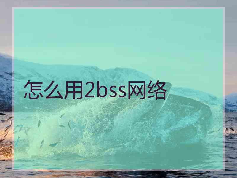 怎么用2bss网络