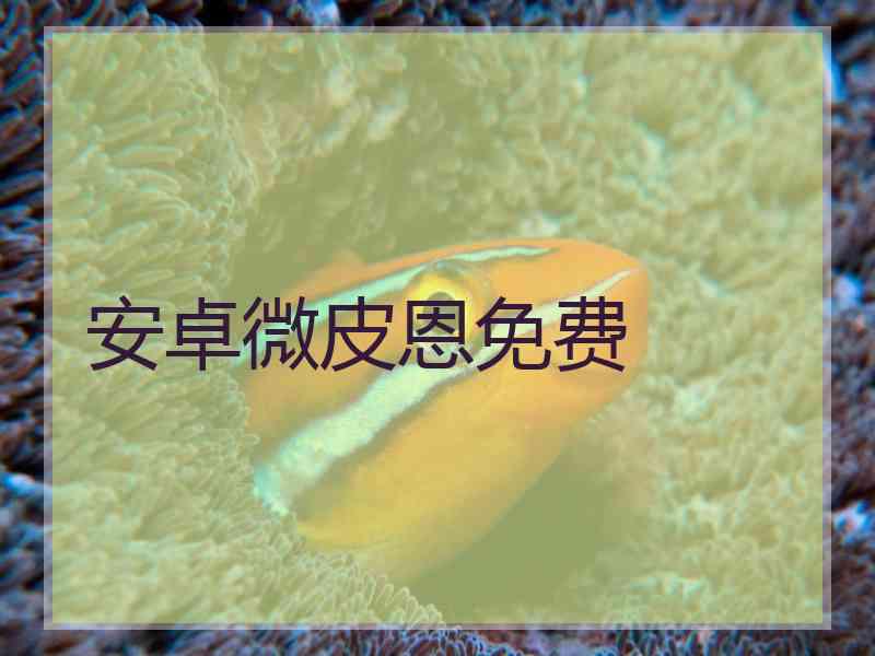 安卓微皮恩免费
