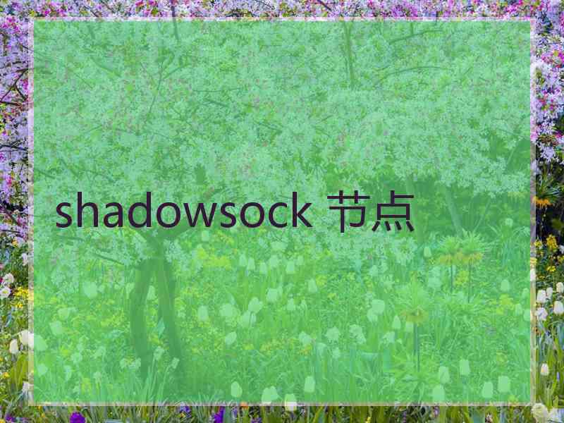 shadowsock 节点