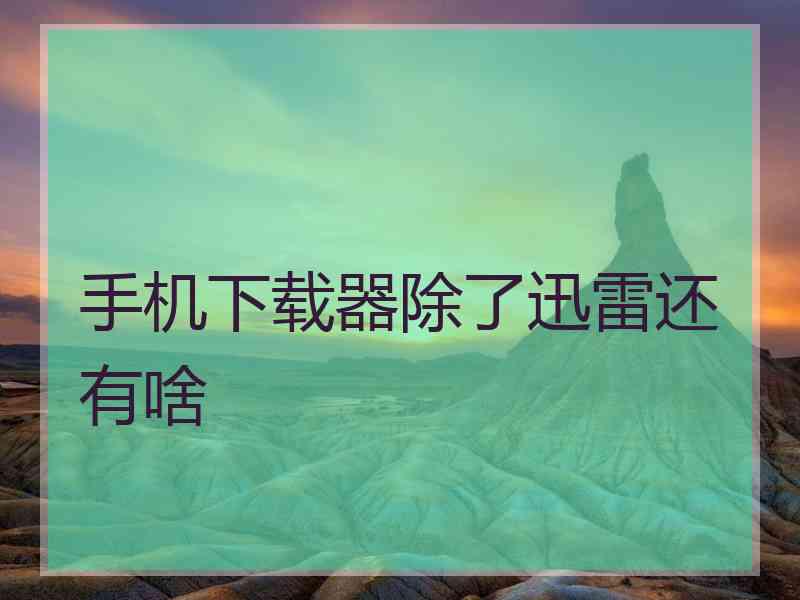 手机下载器除了迅雷还有啥