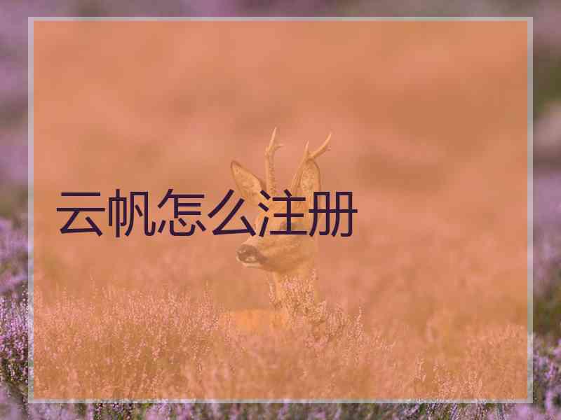 云帆怎么注册
