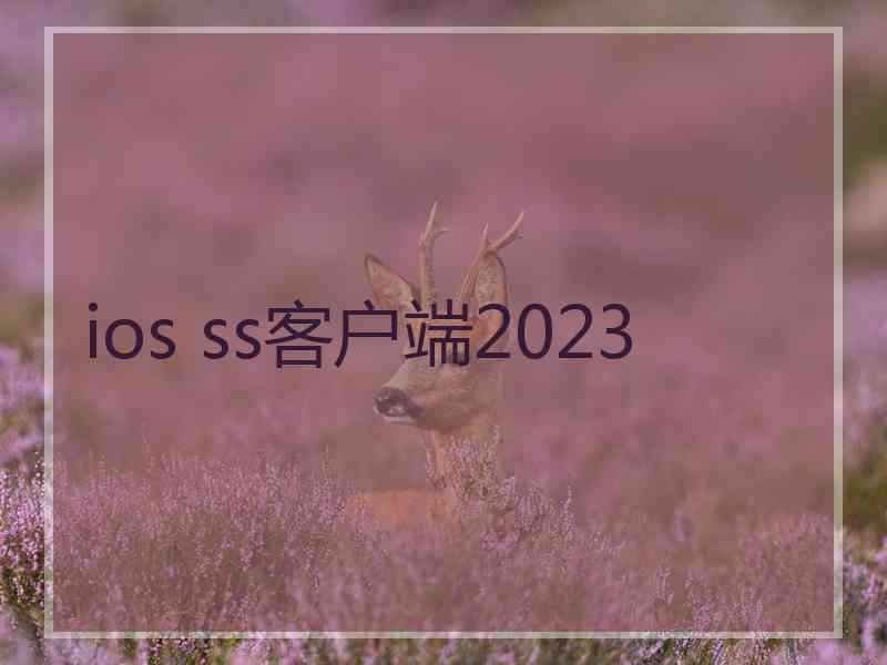 ios ss客户端2023