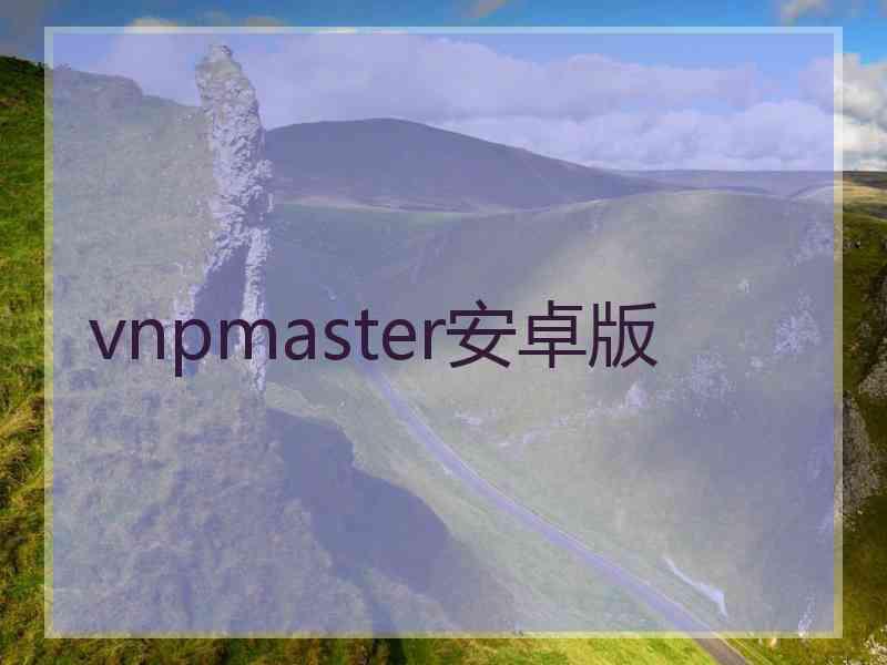 vnpmaster安卓版