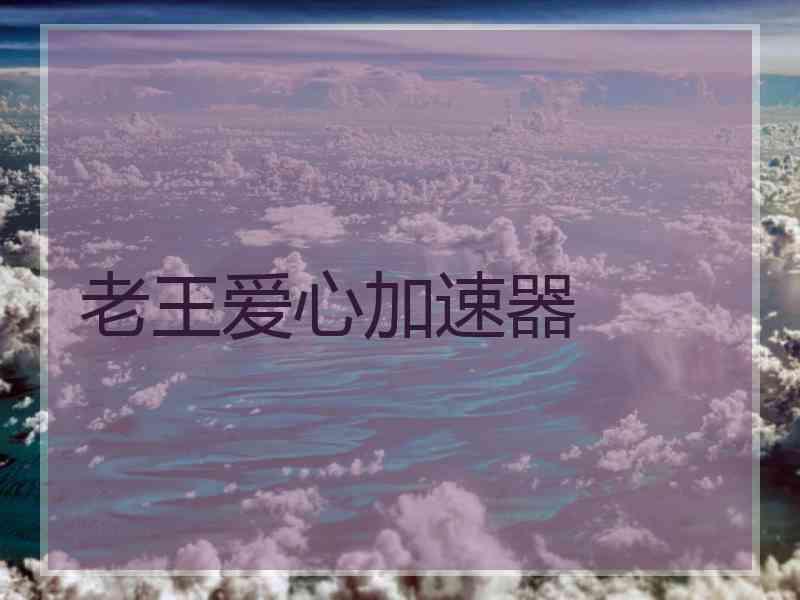老王爱心加速器