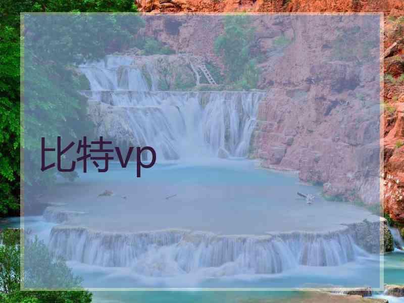 比特vp