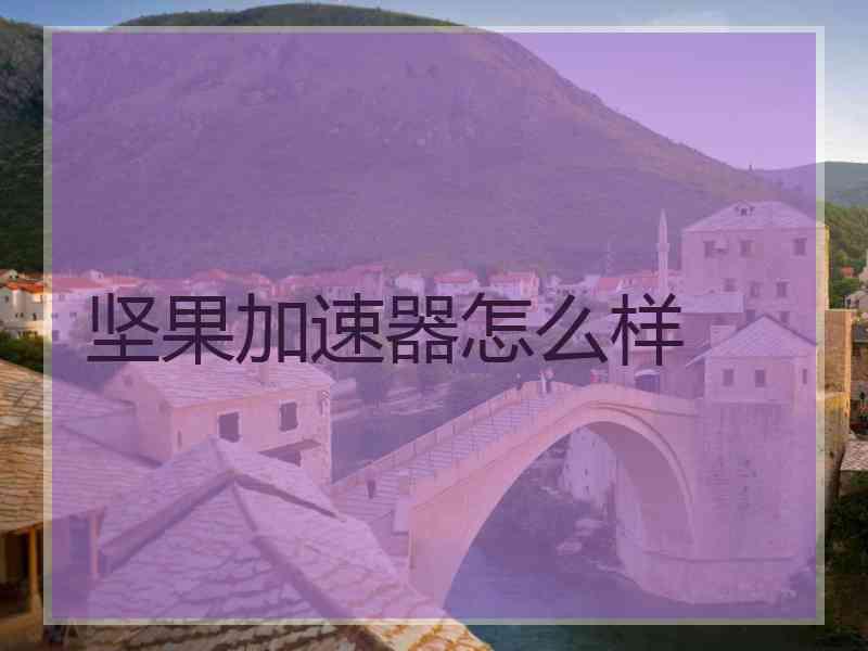 坚果加速器怎么样