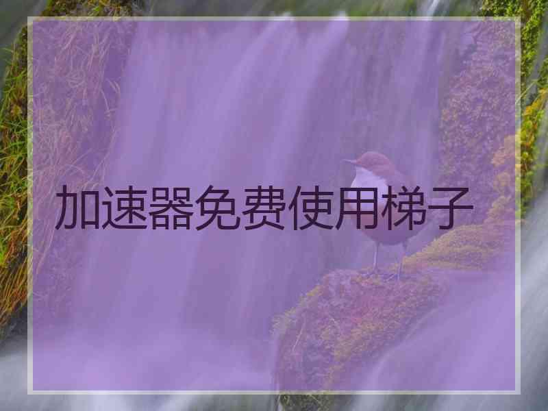 加速器免费使用梯子