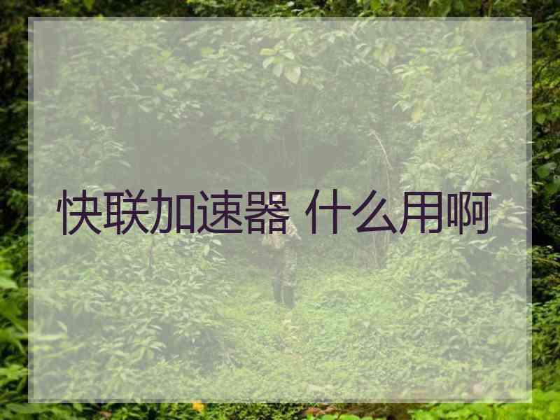 快联加速器 什么用啊