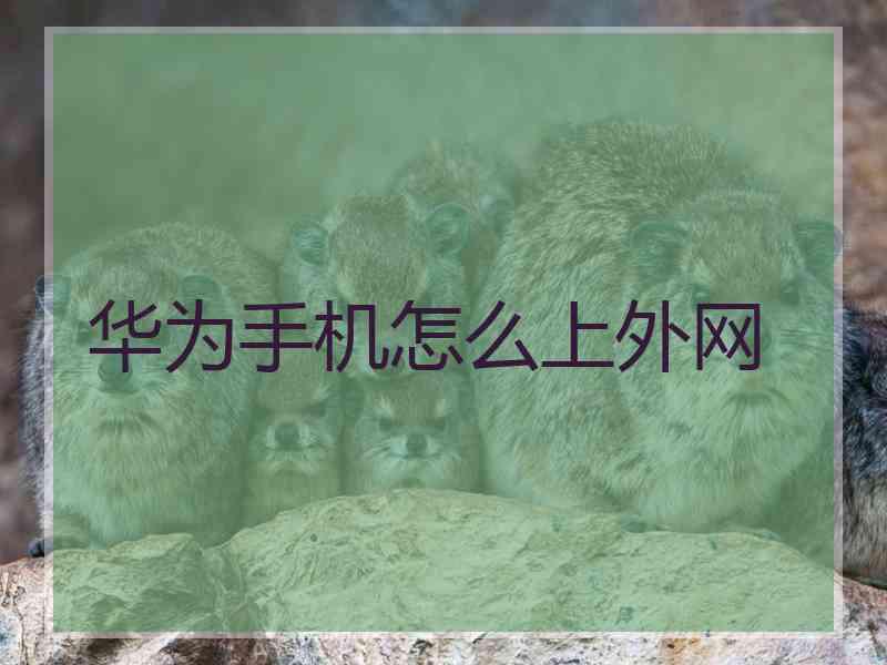华为手机怎么上外网