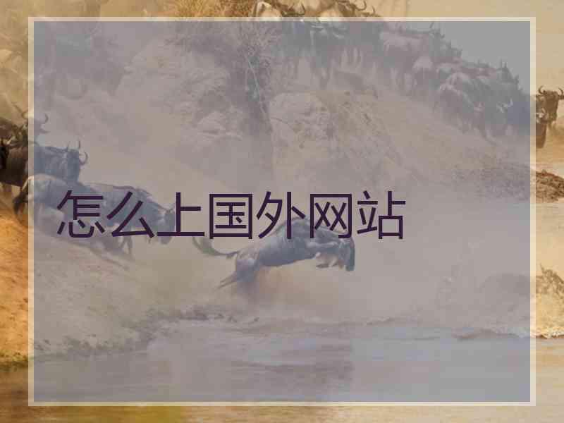 怎么上国外网站