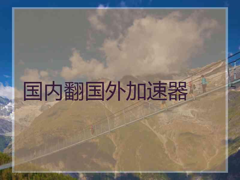 国内翻国外加速器