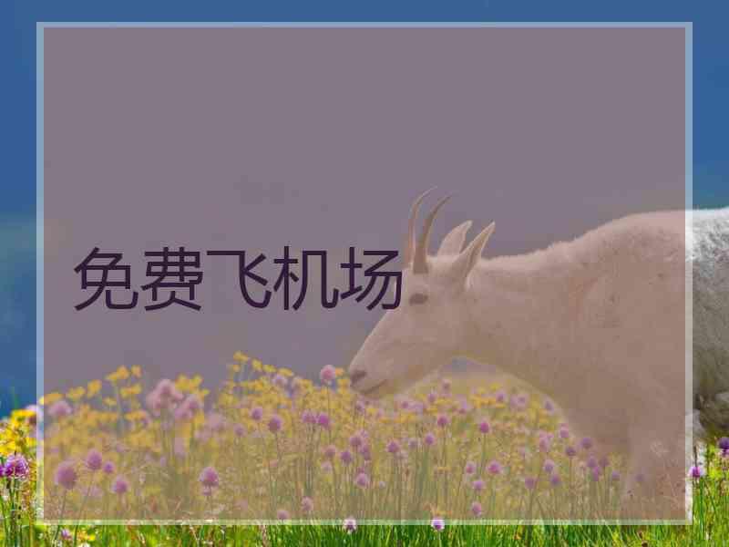 免费飞机场