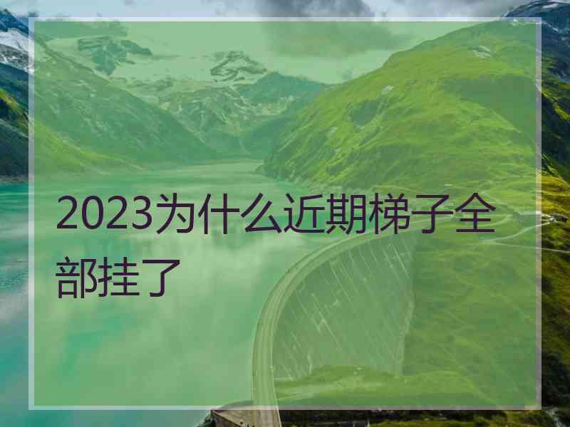 2023为什么近期梯子全部挂了