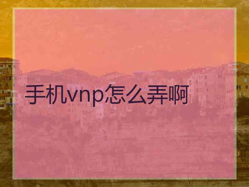 手机vnp怎么弄啊