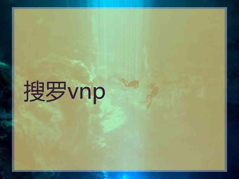 搜罗vnp