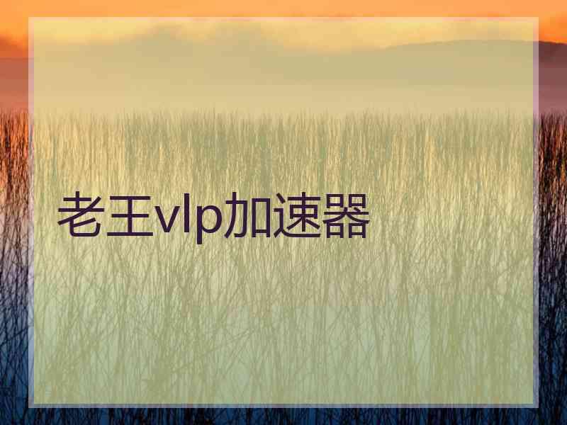 老王vlp加速器