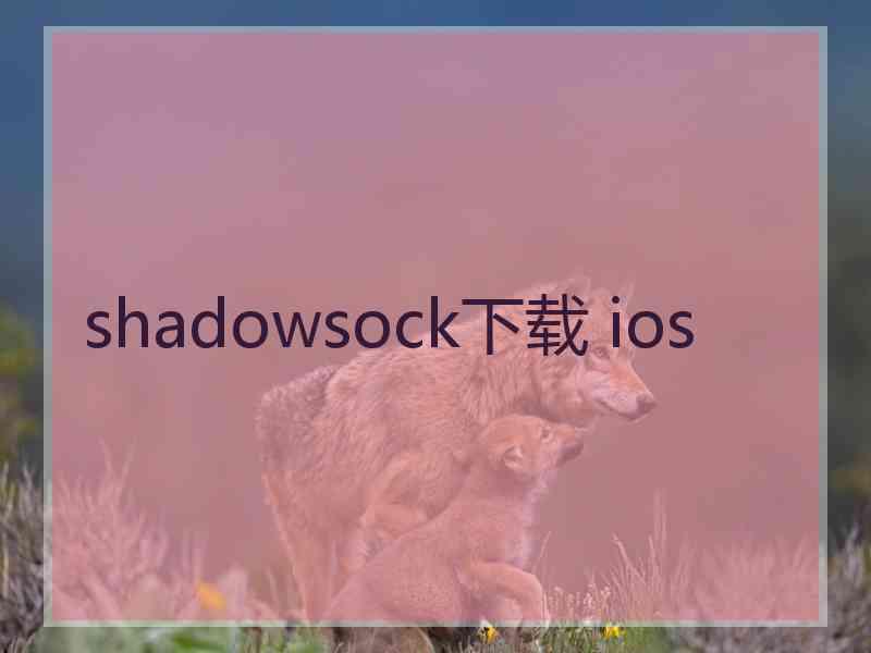 shadowsock下载 ios