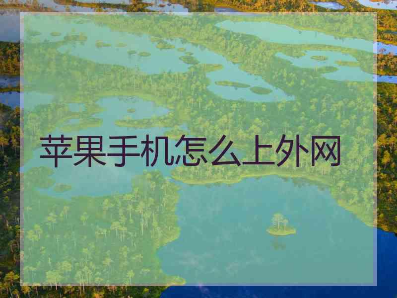 苹果手机怎么上外网