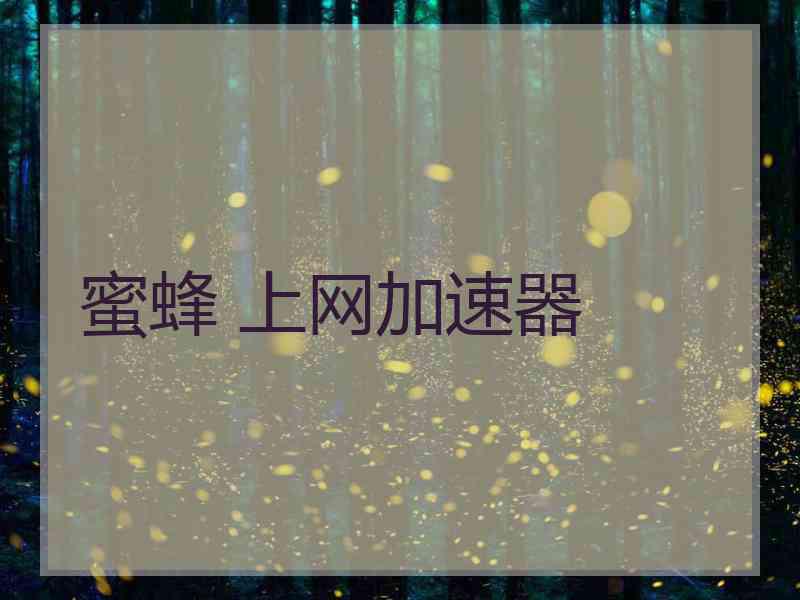 蜜蜂 上网加速器