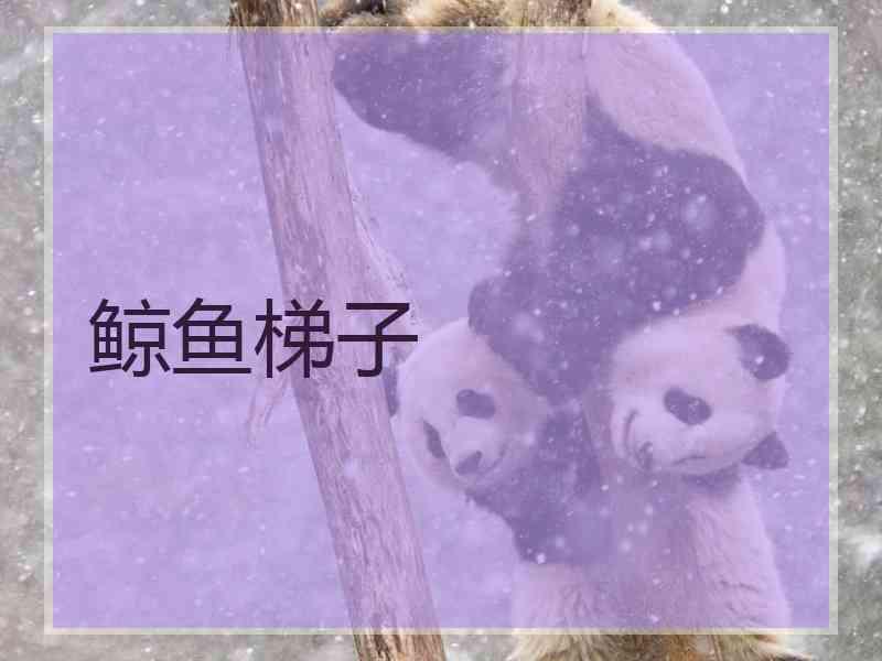 鲸鱼梯子