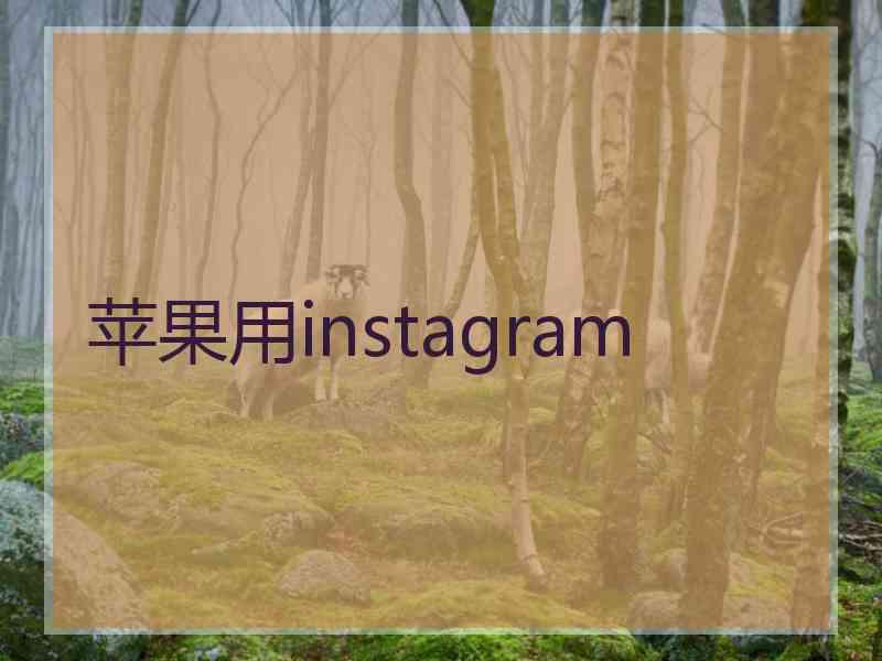 苹果用instagram