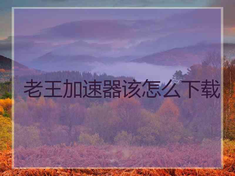 老王加速器该怎么下载