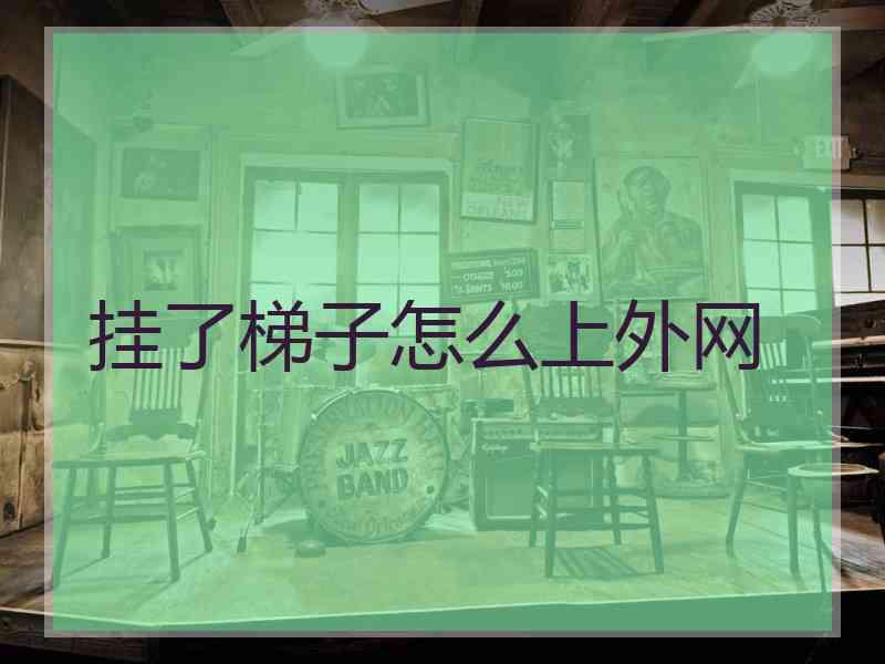 挂了梯子怎么上外网