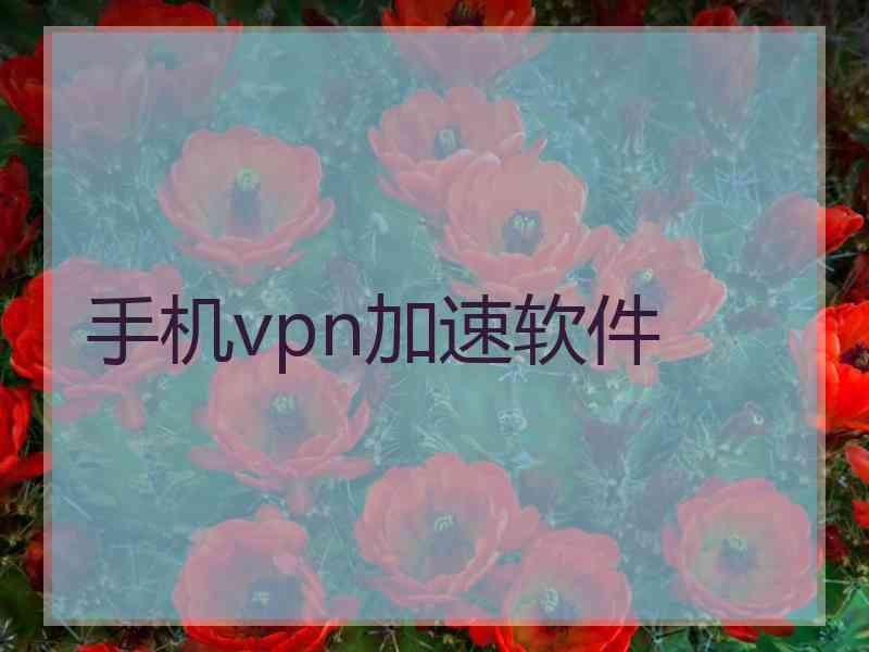 手机vpn加速软件