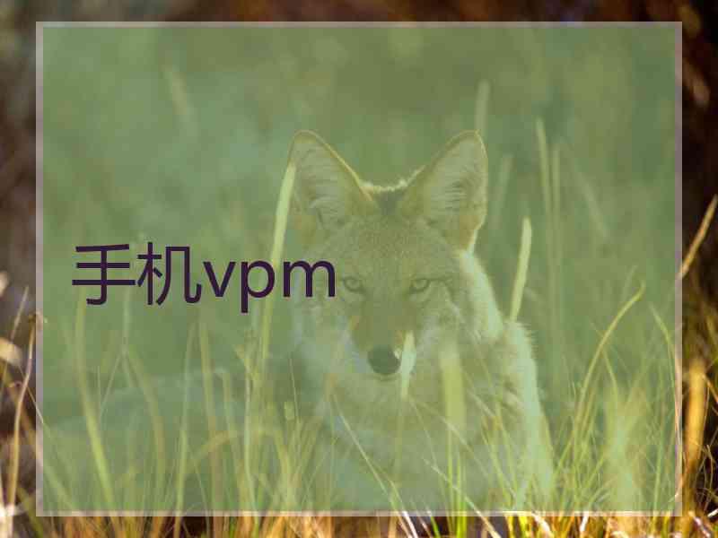 手机vpm