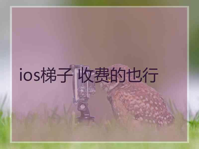 ios梯子 收费的也行