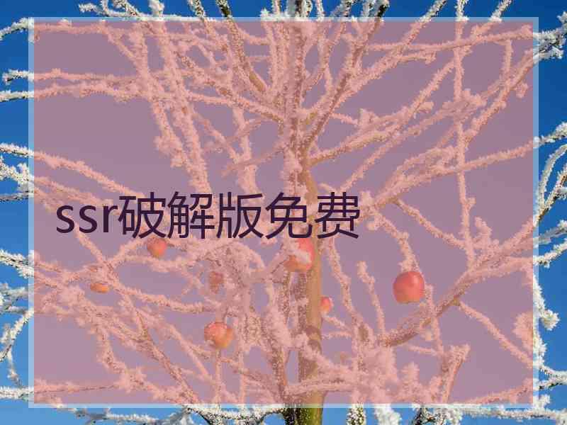 ssr破解版免费