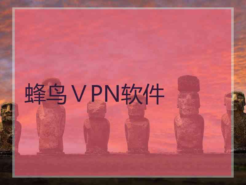 蜂鸟ⅤPN软件