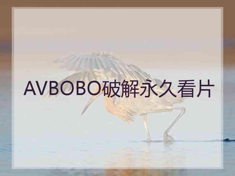 AVBOBO破解永久看片