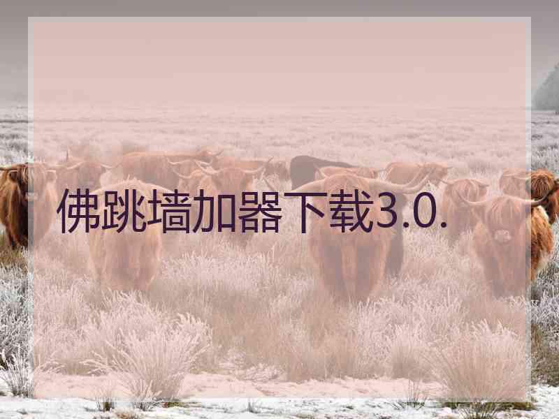 佛跳墙加器下载3.0.