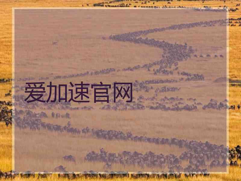 爱加速官网