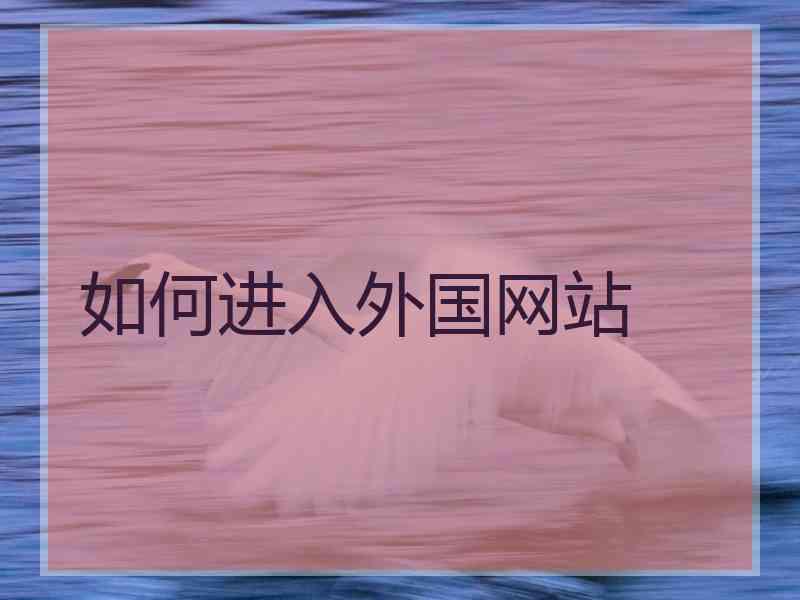 如何进入外国网站