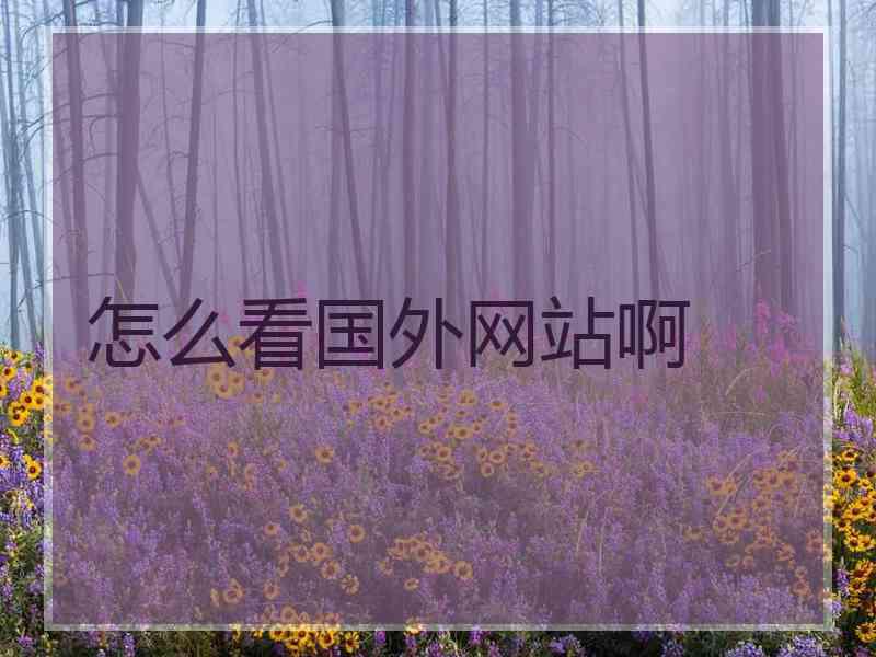 怎么看国外网站啊