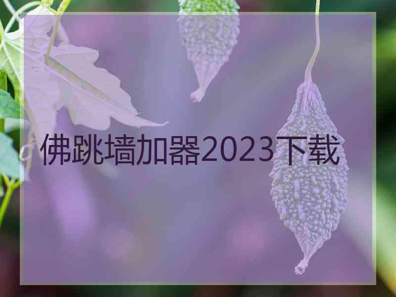 佛跳墙加器2023下载
