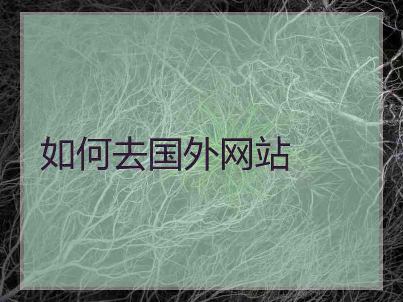 如何去国外网站