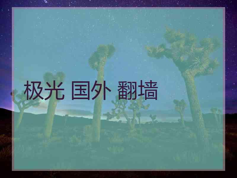 极光 国外 翻墙