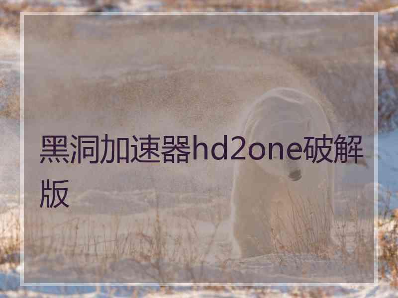 黑洞加速器hd2one破解版